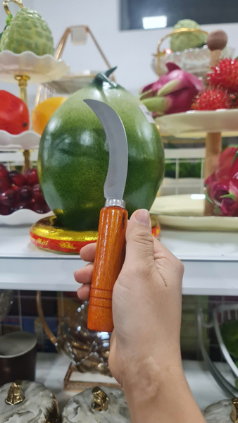 Dao cơm dừa